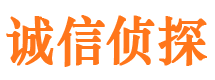 翠峦市调查公司